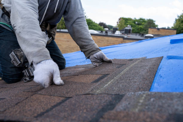 Best Commercial Roofing Services  in Friona, TX